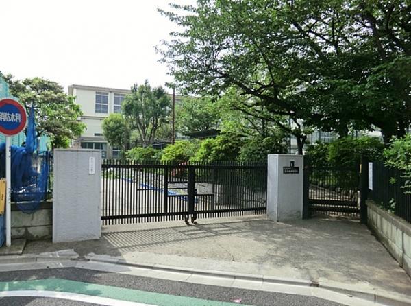 Primary school. Fifth Kaita to elementary school 205m