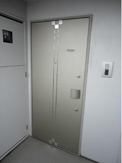 Entrance. Entrance door