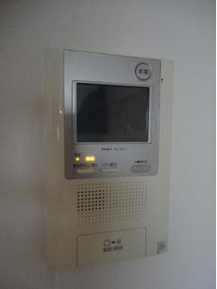 Other introspection. Intercom with TV monitor