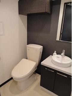 Toilet. Wash ・ toilet
