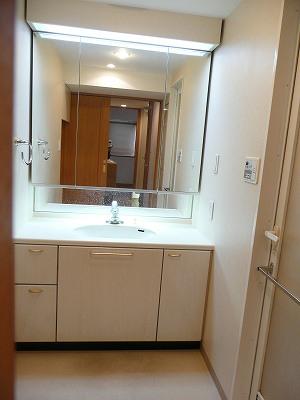 Wash basin, toilet. Bathroom vanity