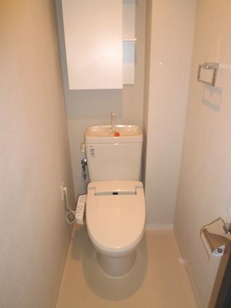 Toilet. Indoor (11 May 2013) Shooting