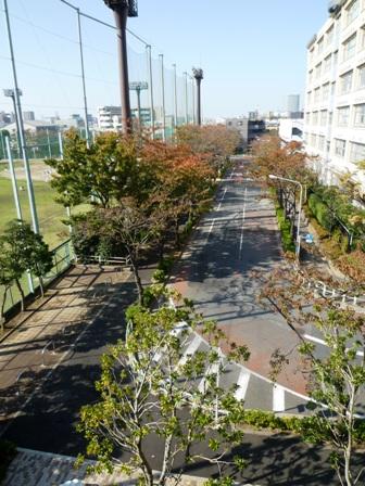 Other introspection. Indoor (11 May 2013) Shooting