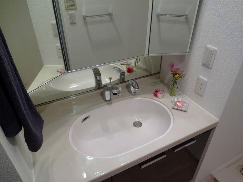 Wash basin, toilet. Bathroom vanity