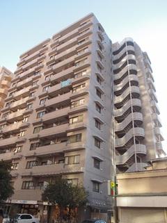 Local appearance photo. Building exterior 1