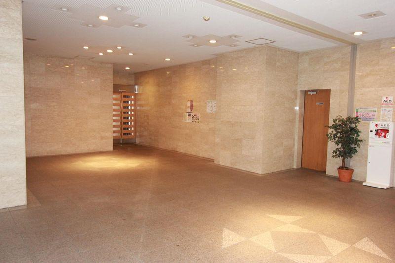 Other introspection. Entrance hall