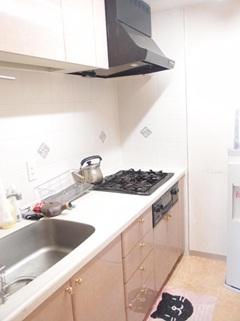 Kitchen. System kitchen