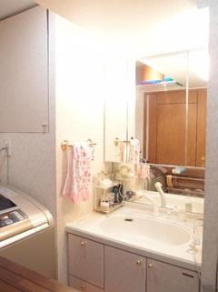 Wash basin, toilet. bathroom