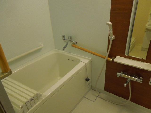 Bathroom. Indoor (12 May 2013) Shooting