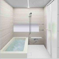 Bathroom. Rendering (introspection)