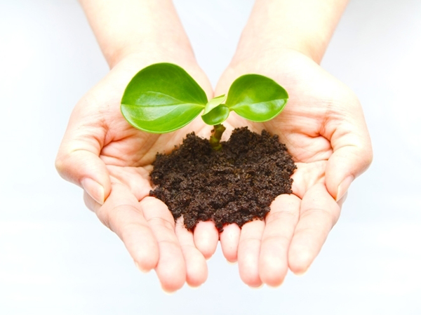 Buildings and facilities. "Eco Jaws" energy-saving design to reuse waste heat. It wrapped the bathtub with a dedicated heat insulating material of "Samobasu S". Tankless toilet to achieve a water-saving "super water-saving toilet ECO5". "Floor heating" and "multi-layer glass". Through these can save energy costs, Condominium in consideration of the energy conservation and ecology. (Image photo)