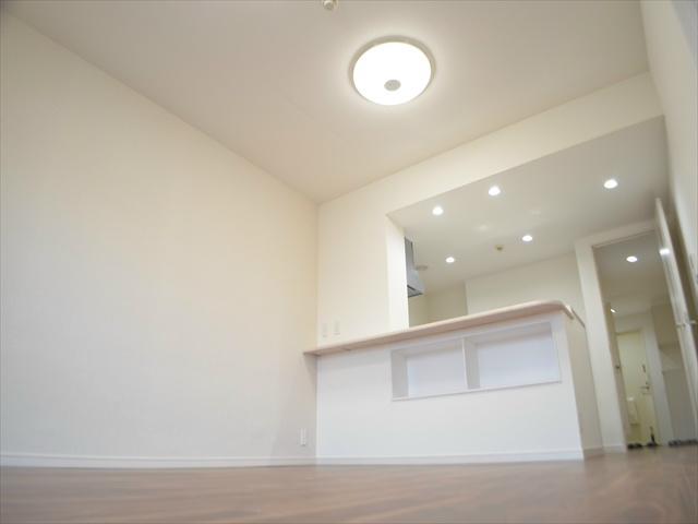 Living. There is also a shelf under the counter