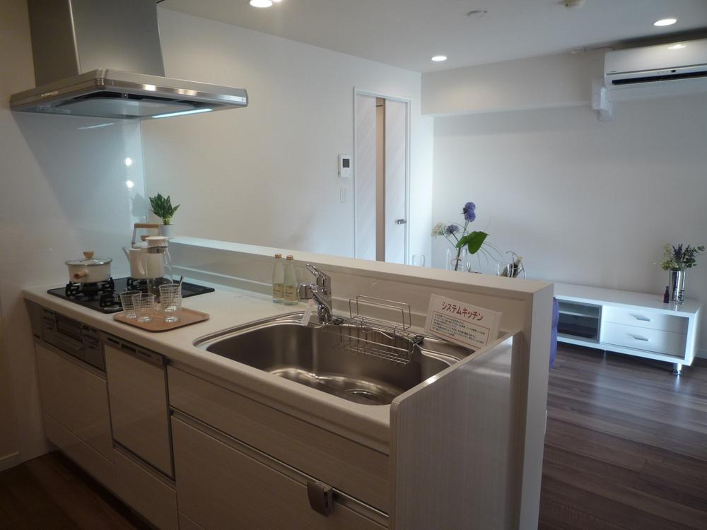 Kitchen. Indoor (10 May 2013) Shooting