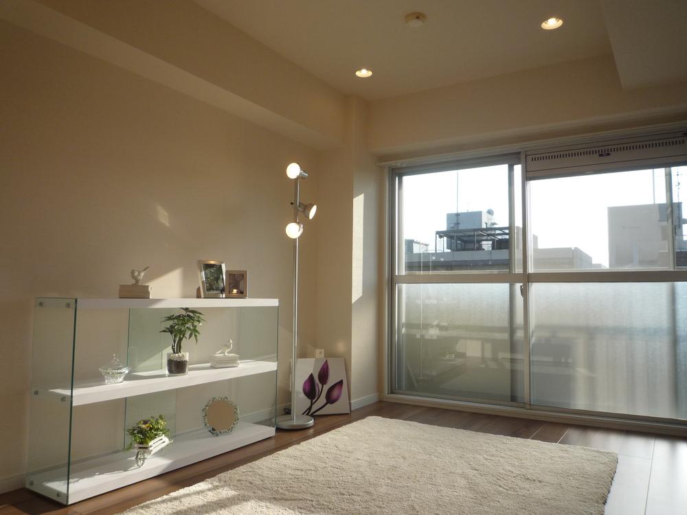 Non-living room. Indoor (10 May 2013) Shooting