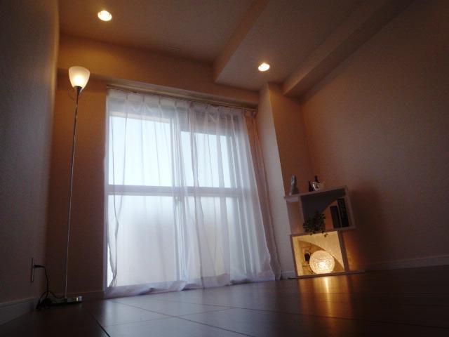 Other introspection. Indoor (10 May 2013) Shooting