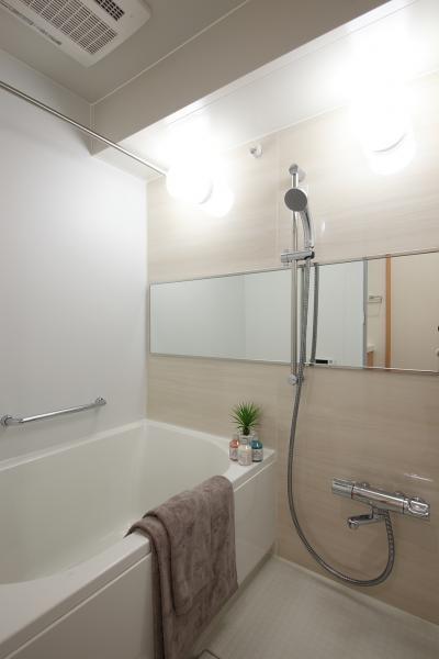 Bathroom. Indoor (10 May 2013) Shooting