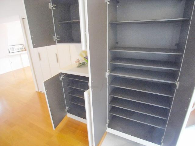 Entrance. Footwear purse