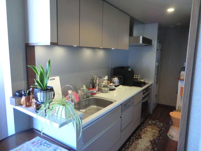 Kitchen. Indoor (11 May 2013) Shooting