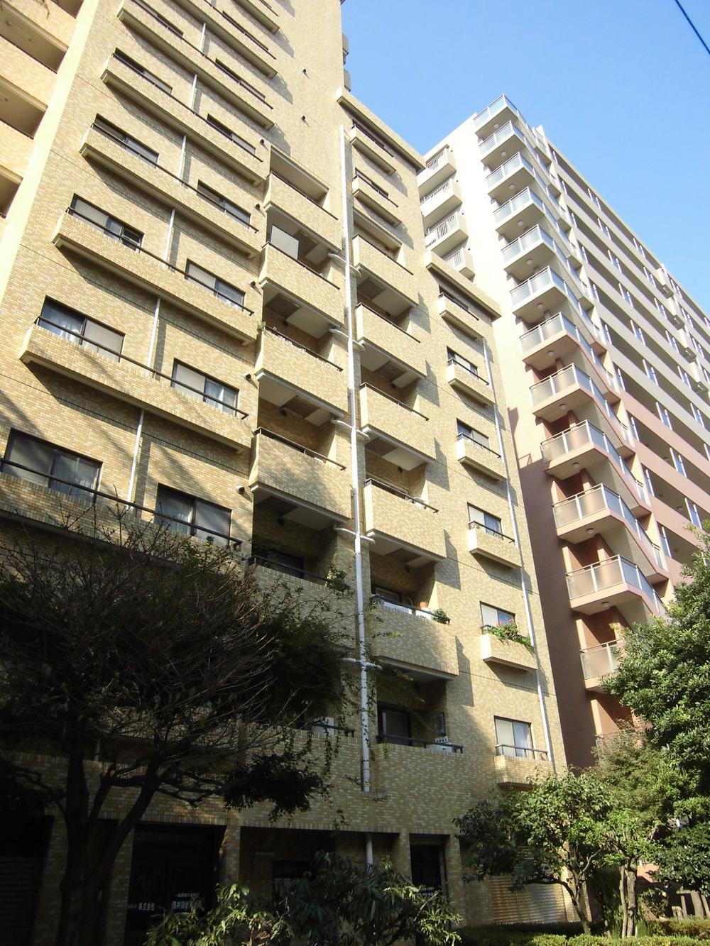 Local appearance photo. Appearance (2013 November shooting)