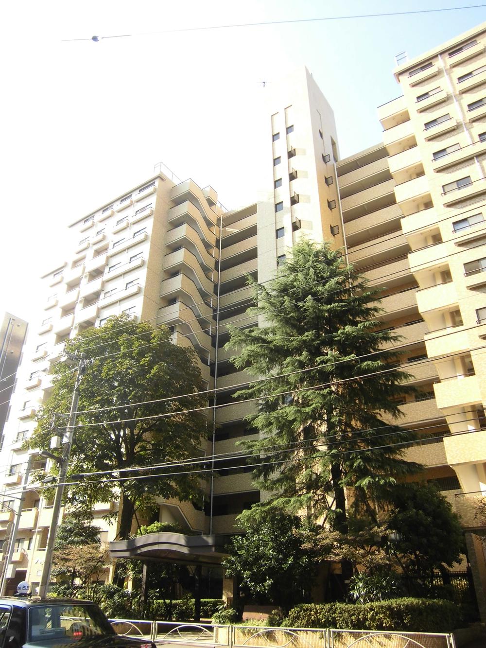 Local appearance photo. Appearance (2013 November shooting)