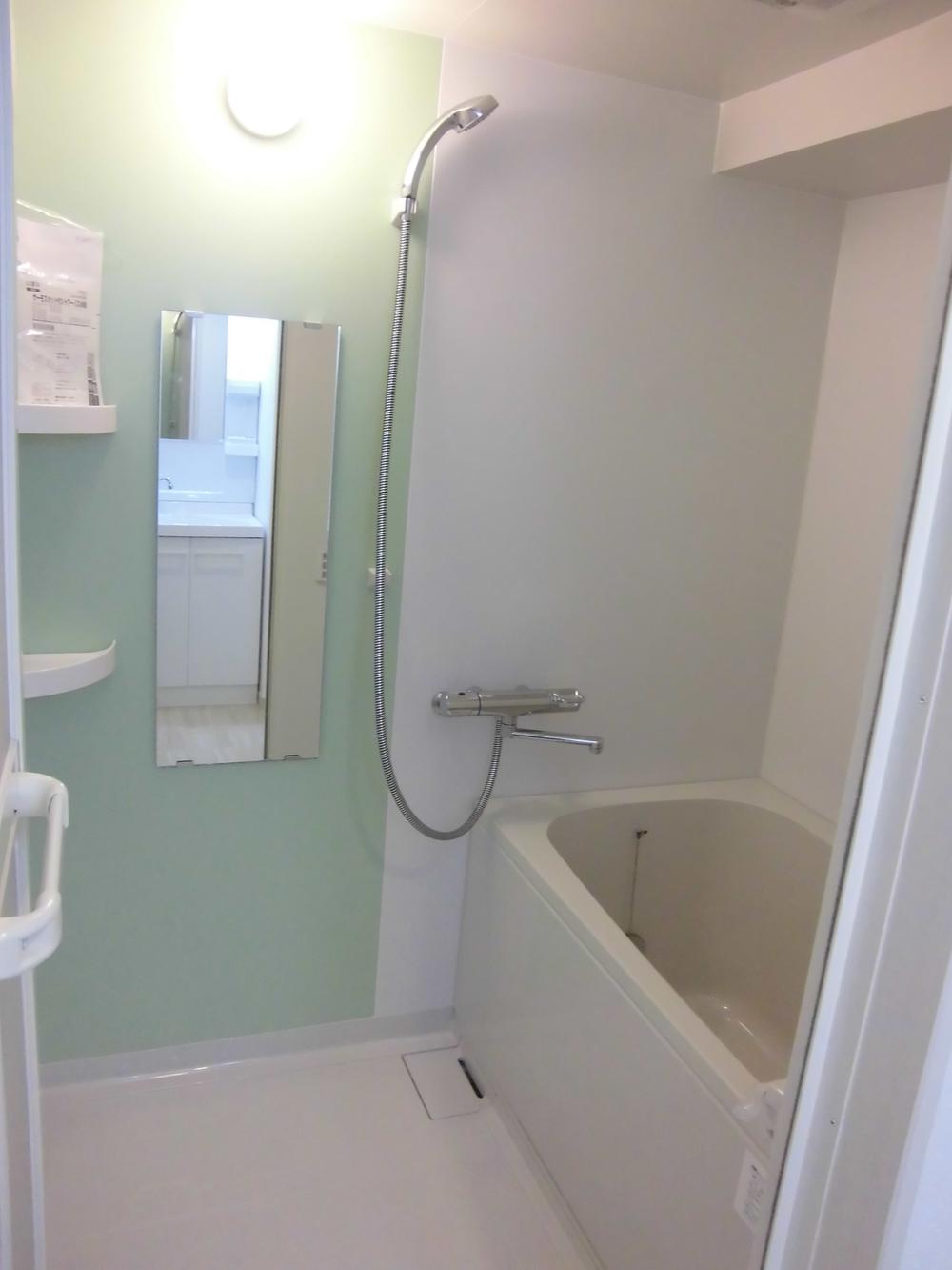 Bathroom. Bathroom (2013 November shooting)