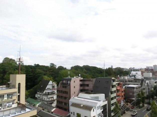 View photos from the dwelling unit. View from local