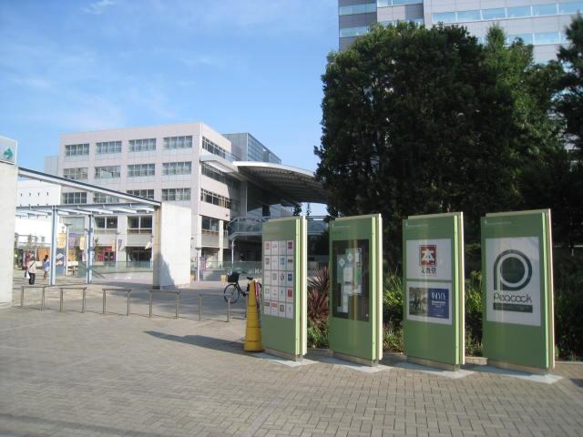 Other. 200m to the green coat