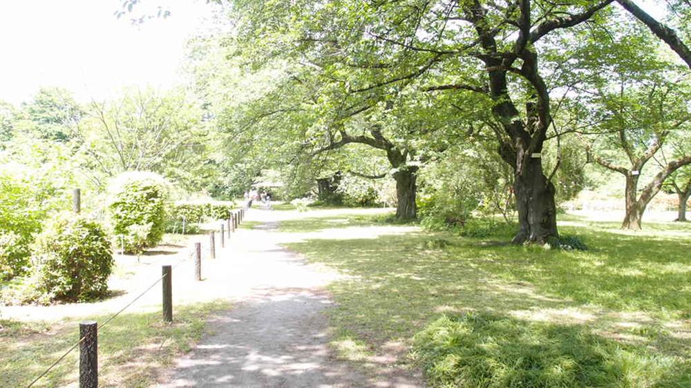 Other. 1100m to Koishikawa Botanical Garden