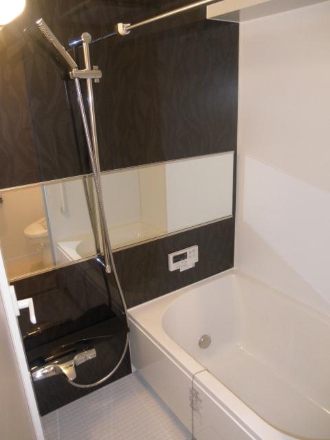 Bathroom. Indoor (10 May 2013) Shooting