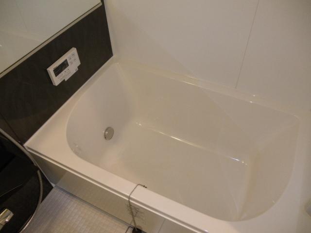 Bathroom. Indoor (10 May 2013) Shooting