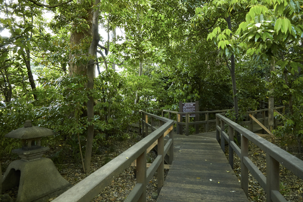 Surrounding environment. Sengoku green space (about 540m / 7-minute walk)