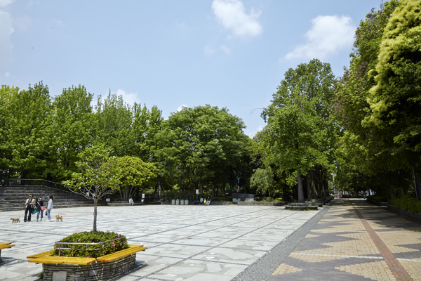 Surrounding environment. Forest Park of education (about 620m / An 8-minute walk)