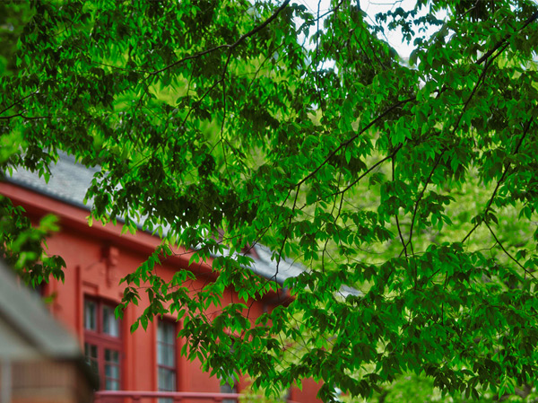 Surrounding environment. ※ Koishikawa Botanical Garden (about 840m / Walk 11 minutes, May 2013 shooting)