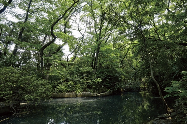 Uranaiharuen (about 340m ・ A 5-minute walk) ※ 2