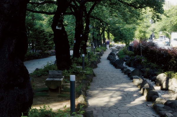 Harima hill (about 730m ・ A 10-minute walk) ※ 2