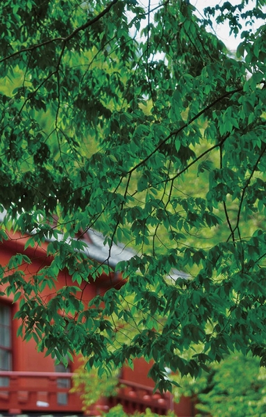 Koishikawa Botanical Garden (about 840m ・ 11-minute walk) ※ 2