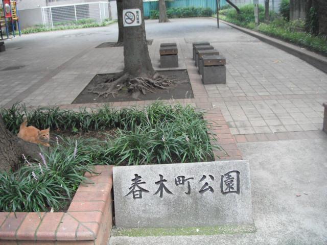 Other Environmental Photo. 916m until Kanda children's house