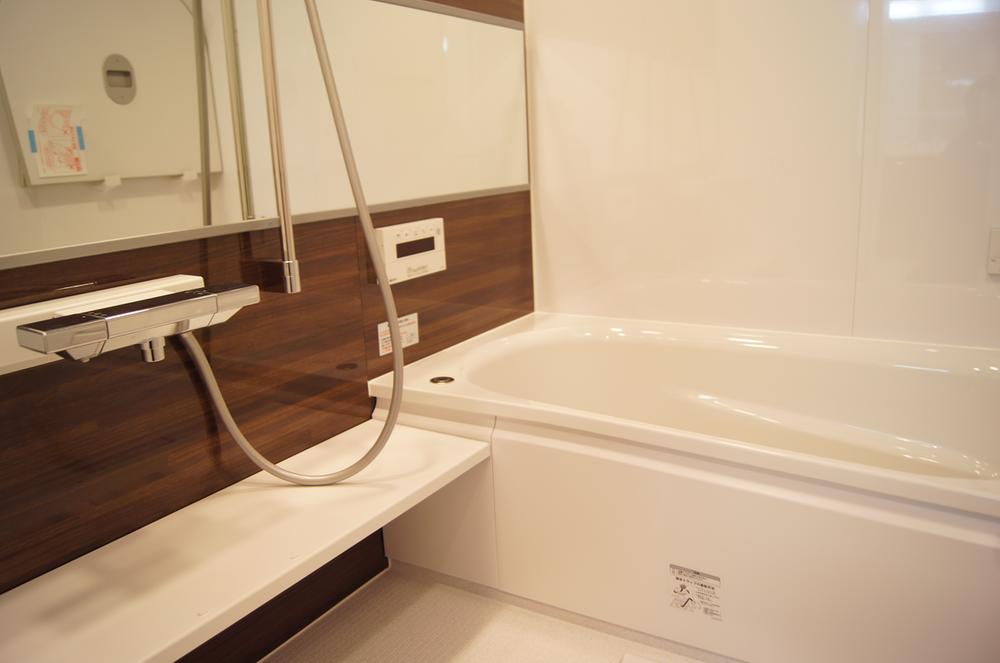 Bathroom. Indoor (11 May 2013) Shooting