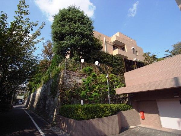 Local appearance photo