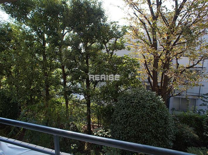 View photos from the dwelling unit. View overlooking the green