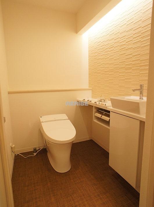 Toilet. Toilet with a hand-washing facilities