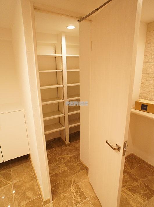 Entrance. Shoes-in closet