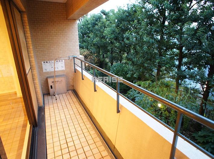 Balcony. Also wide one by one of the Western-style is reserved