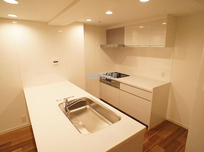 Kitchen. sink, Luxurious kitchen stove is divided