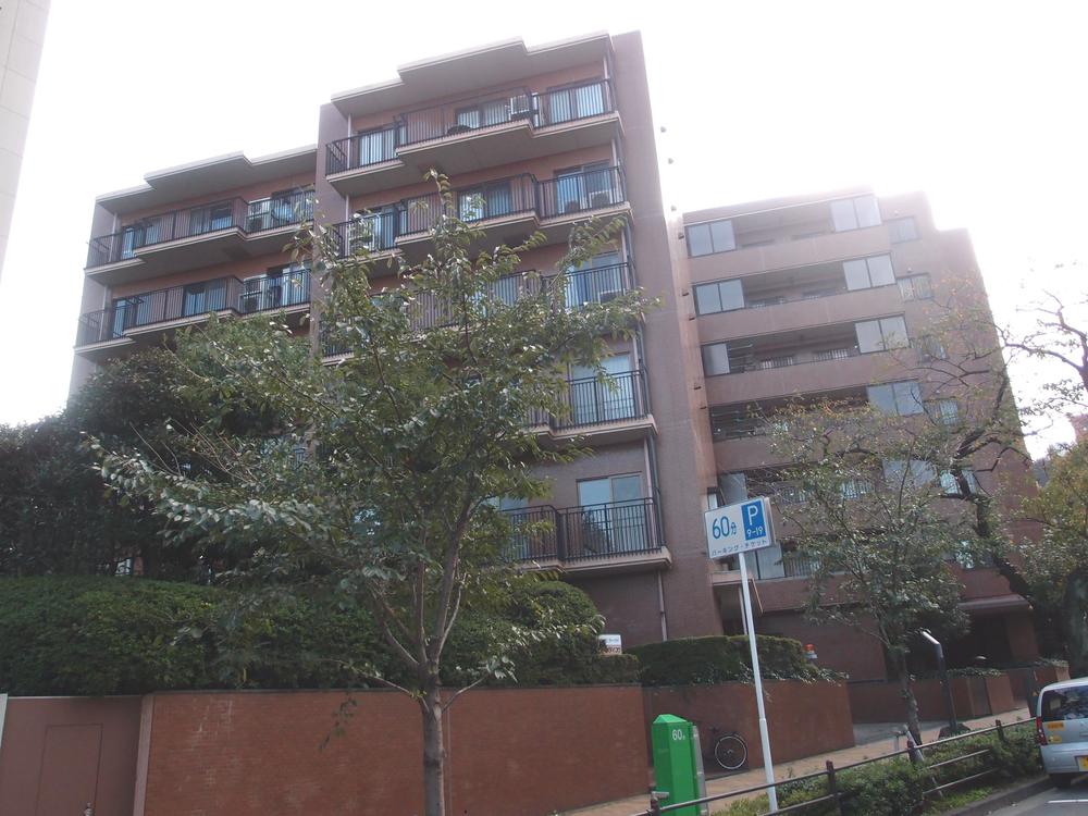 Local appearance photo. Local (11 May 2013) Shooting