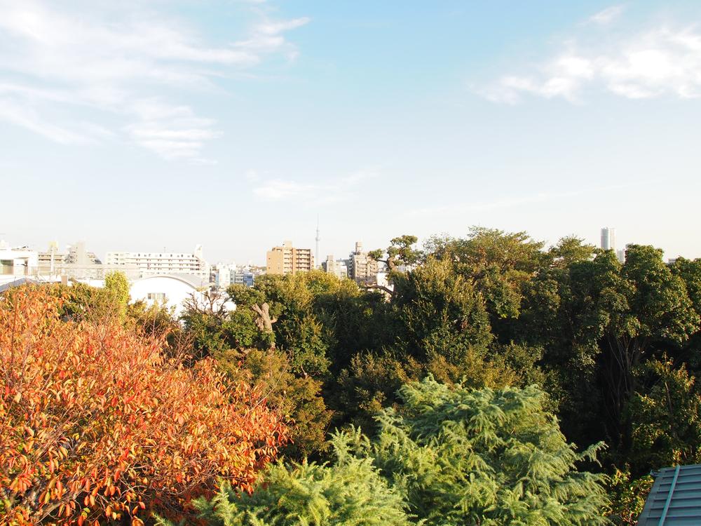View photos from the dwelling unit. View from the site (November 2013) Shooting
