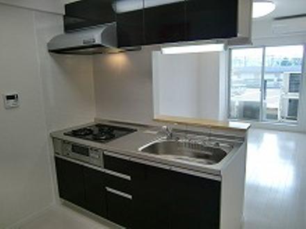 Kitchen. Seller selling other property construction cases