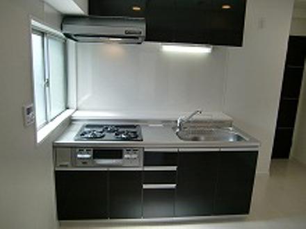 Kitchen. Seller selling other property construction cases