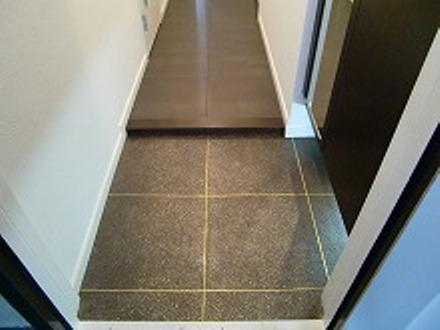 Entrance. Seller selling other property construction cases