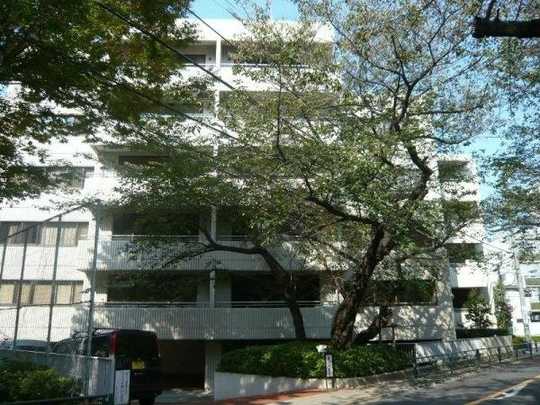 Local appearance photo. appearance